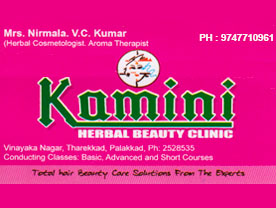 Kamini Herbal Beauty Clinic - Best Beauty Clinic and Beauty Parlour in Palakkad Kerala
