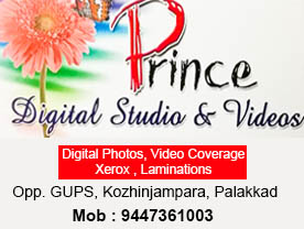 PRINCE DIGITAL STUDIO