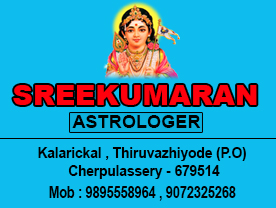 Astrologer V K Sreekumaran Panicker