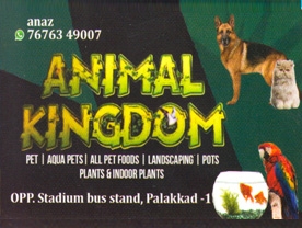 Animal Kingdom Best and Top Pet Shops in palakkad bizkl