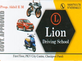 Lion Driving School