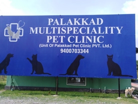 Are you searching for best Pet Clinic,Doctors Veterinary in Palakkad Kerala ?. Click here to get Palakkad Multispeciality Pet Clinic contact address and phone numbers