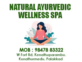 Are you searching for best Nutrition Centre,Organic Food Shop,Wellness Centre in Palakkad Kerala ?.
Click here to get Natural ayurvedic wellness spa contact address and phone numbers