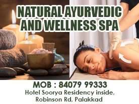 Natural ayurvedic and Wellness spa - Best Wellness Centre in Palakkad