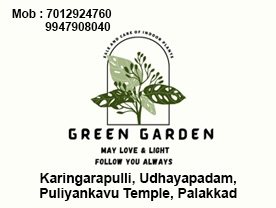 Green Garden - Best Nursery Gardens in Palakkad