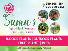 Are you searching for best Nursery Gardens,Landscape and Gardening in Palakkad Kerala ?. Click here to get Suma Agro Plant Nursery contact address and phone numbers