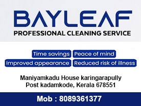 Are you searching for best House Keeping Services in Palakkad Kerala ?. Click here to get Bay Leaf Professional Cleaning Service Palakkad contact address and phone numbers