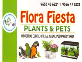 Flora Fiesta Plants and Pets - Best Nursery Gardens in Puduppariyaram Palakkad