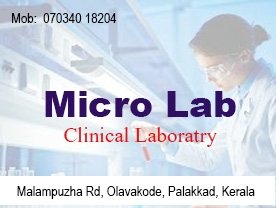 Micro Lab