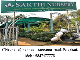 Sakthi Nursery Garden