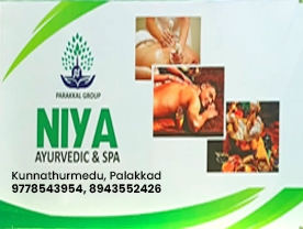 Niya Ayurvedic Spa And Panchakarma Treatment