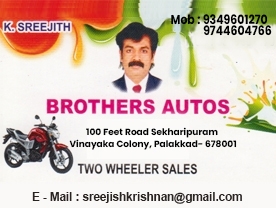 BROTHERS AUTO CONSULTANT