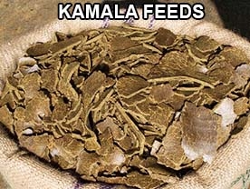 Kamala Feeds