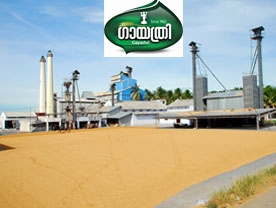 Are you searching for best Modern Rice Mills , Rice Manufactures in Palakkad Kerala ?. Click here to get Gayathri Rice Mills contact address and phone numbers