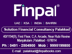 FINPAL Solution Financial Consultancy