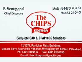 The Chips Exotica