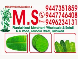 Are you searching for best Leaf Merchants in Palakkad Kerala ?. Click here to get M S PlantainLeaf contact address and phone numbers