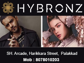 Hybronz - Best Beauty Parlours in Palakkad