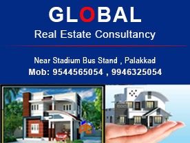 Global Real Estate Consultancy