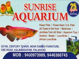 Sunrise Aquarium