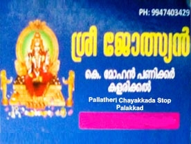 K Mohan Panicker Kalarikkal -  Best and Top Astrologers in Palakkad